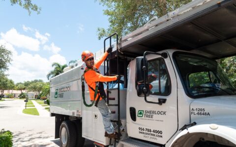 A Sherlock Tree crew member on a Sherlock Tree truck in South Florida.