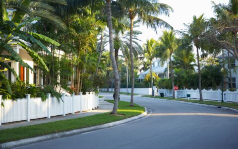 A South Florida neighborhood filled with many palms.