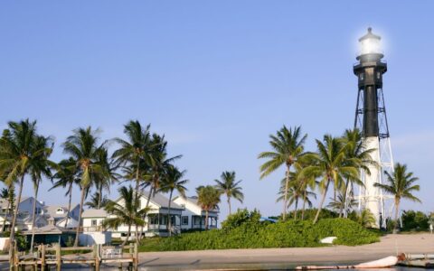 Lush palm trees swaying in the breeze with the iconic black lighthouse in Pompano Beach, Florida.