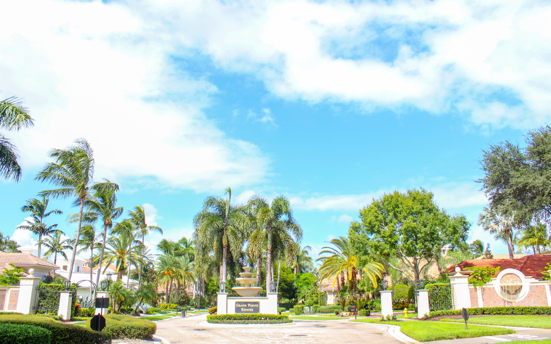 Well-maintained palm trees lining a sunny residential street in South Florida