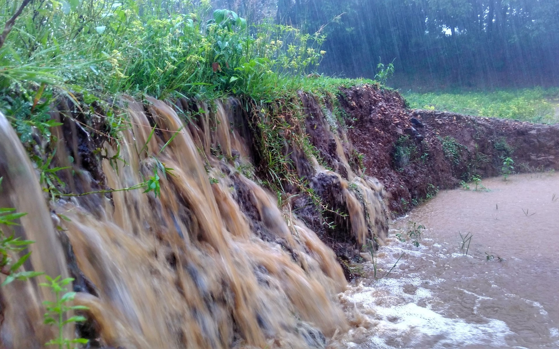 Water running off the edge of a lawn after heavy rain, with soil visibly eroding and dirt crumbling away from the grass line.