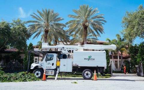 Sherlock Tree Company truck parked in front of a South Florida home with tall palm trees in the background.