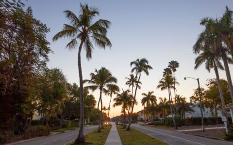 Miami skyline with tall palm trees silhouetted against a vibrant orange and pink autumn sunset, with the white sandy beach visible in the foreground.