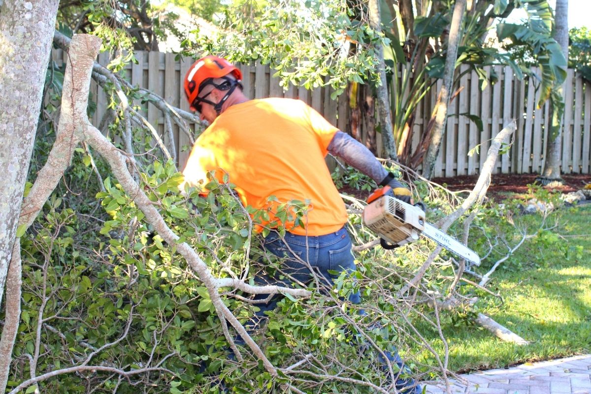 A Sherlock crew member uses a chainsaw to cut through pruned tree branches in a residential yard with a fence.
