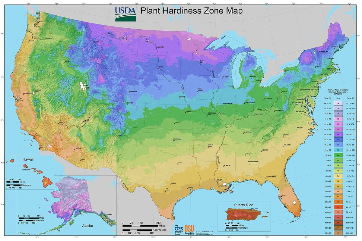 The USDA Hardiness map showing different planting zones across the United States.