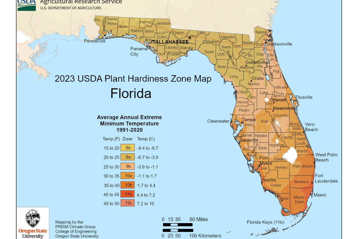 USDA Plant Hardiness Zone Map showing the different zones in South Florida.