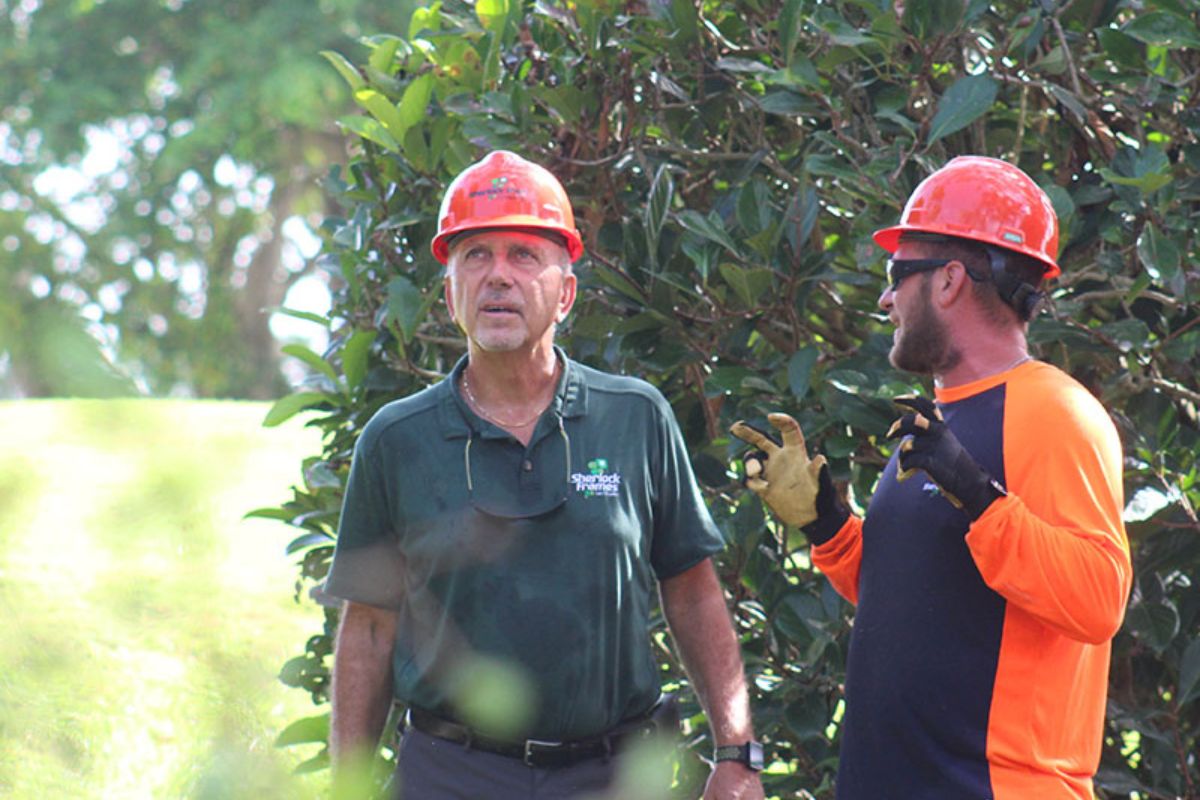 Two Certified Arborists with Sherlock Tree assessing the health of a tree on a Miami County property, evaluating its condition for proper care and maintenance.