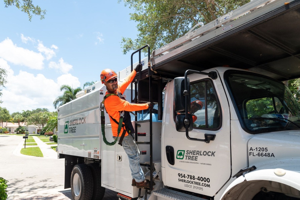 Certified arborist from Sherlock Tree climbing into service truck for palm tree care in South Florida.