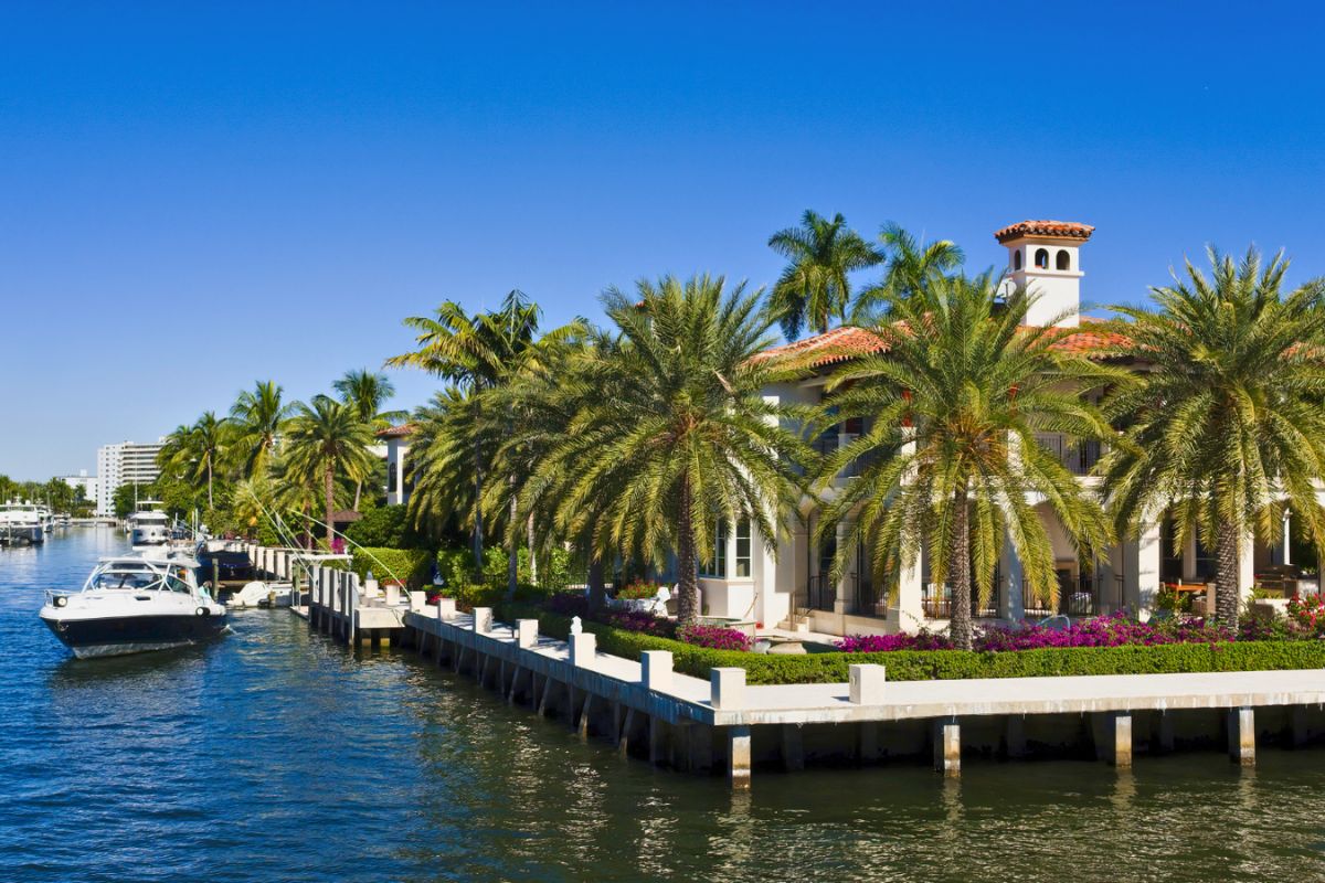 Canary Island date palms providing shade and privacy to this waterfront home in Miami.