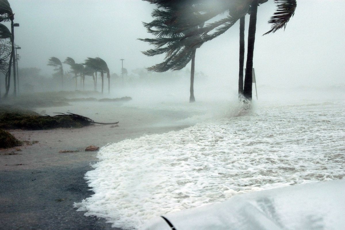 Flooded coastal road in Broward County with palm trees bending in hurricane-force winds.