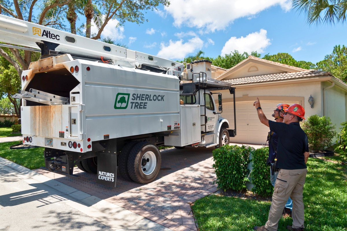 Arborists from Sherlock Tree assess storm-damaged trees beside a company bucket truck parked in front of a South Florida residence.