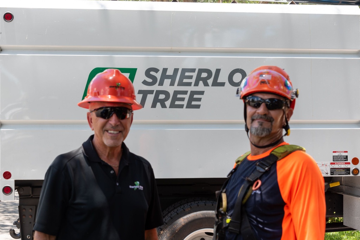 Two Sherlock Tree Company crew members wearing orange safety helmets standing in front of a company truck with the Sherlock Tree logo visible.