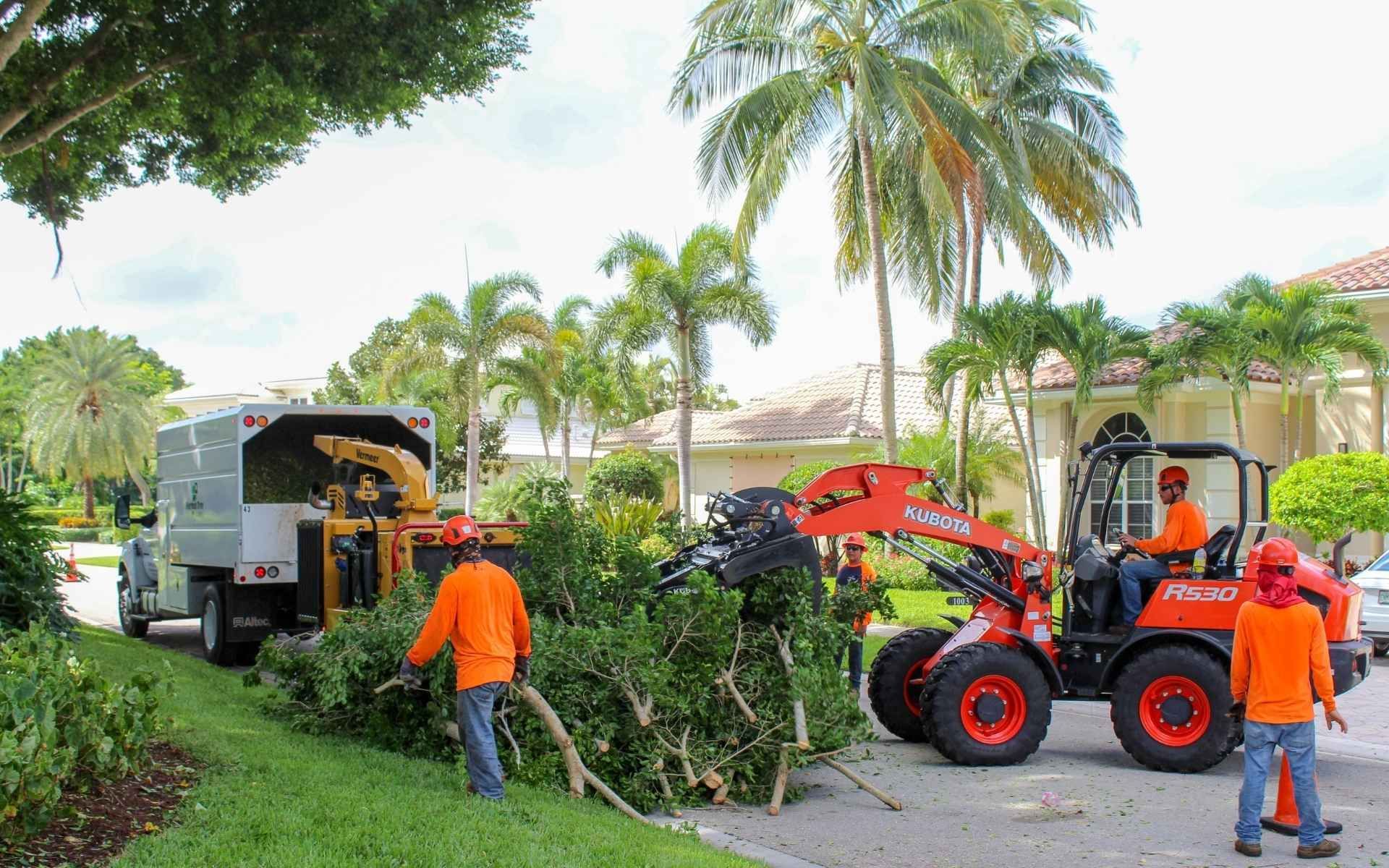 Sherlock Tree crew performing professional tree removal and cleanup work at a residential property in South Florida.