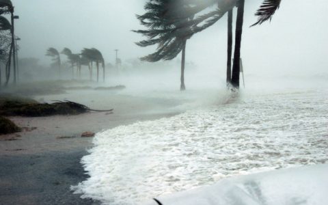 High winds on a Florida beach during a hurricane.